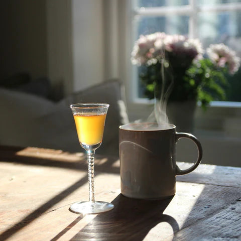 Probiotika mot fordøyelse