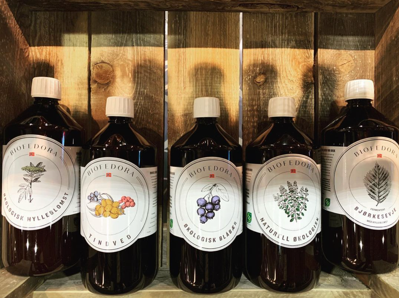 fermentert drikke med probiotika og probiotica, Hva er forskjellen på prebiotika og probiotika?