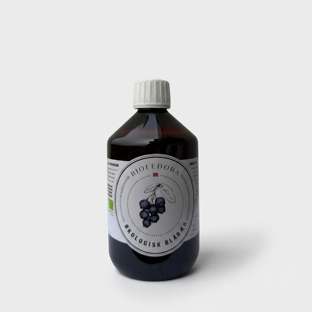 Probiotisk drikk BioFedora Human med blåbær i 0,5 liters flaske – naturlig fermentert med levende bakteriekulturer