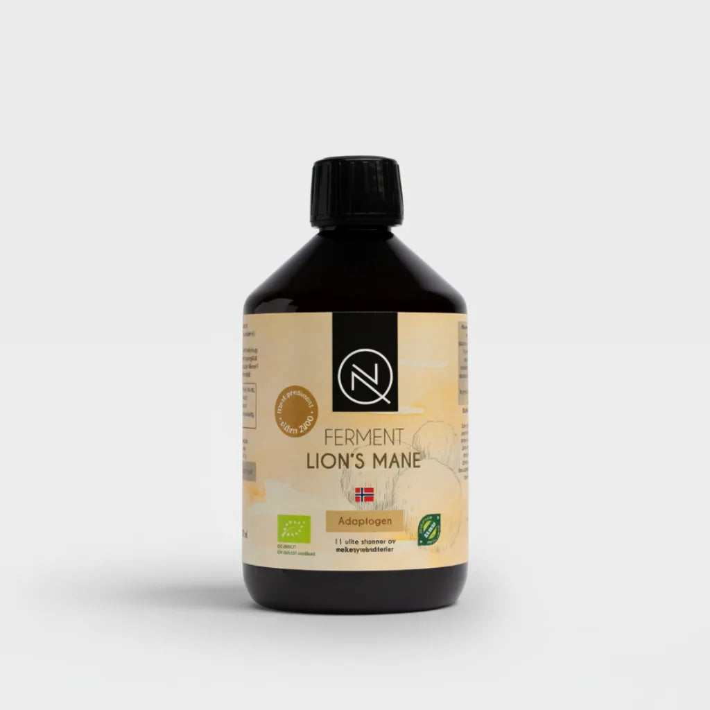 Fermentert probiotisk drikk NQ Ferment Lion’s Mane 0,5 L – naturlig drikk med medisinsk sopp og levende probiotika fra BioFedora