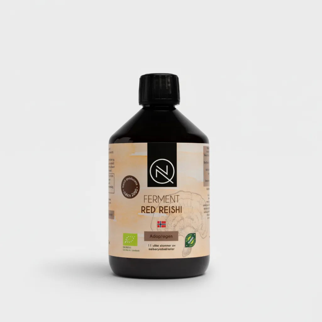 Fermentert probiotisk drikk NQ Ferment Red Reishi 0,5 L – økologisk drikk med reishi og levende bakteriekulturer fra BioFedora