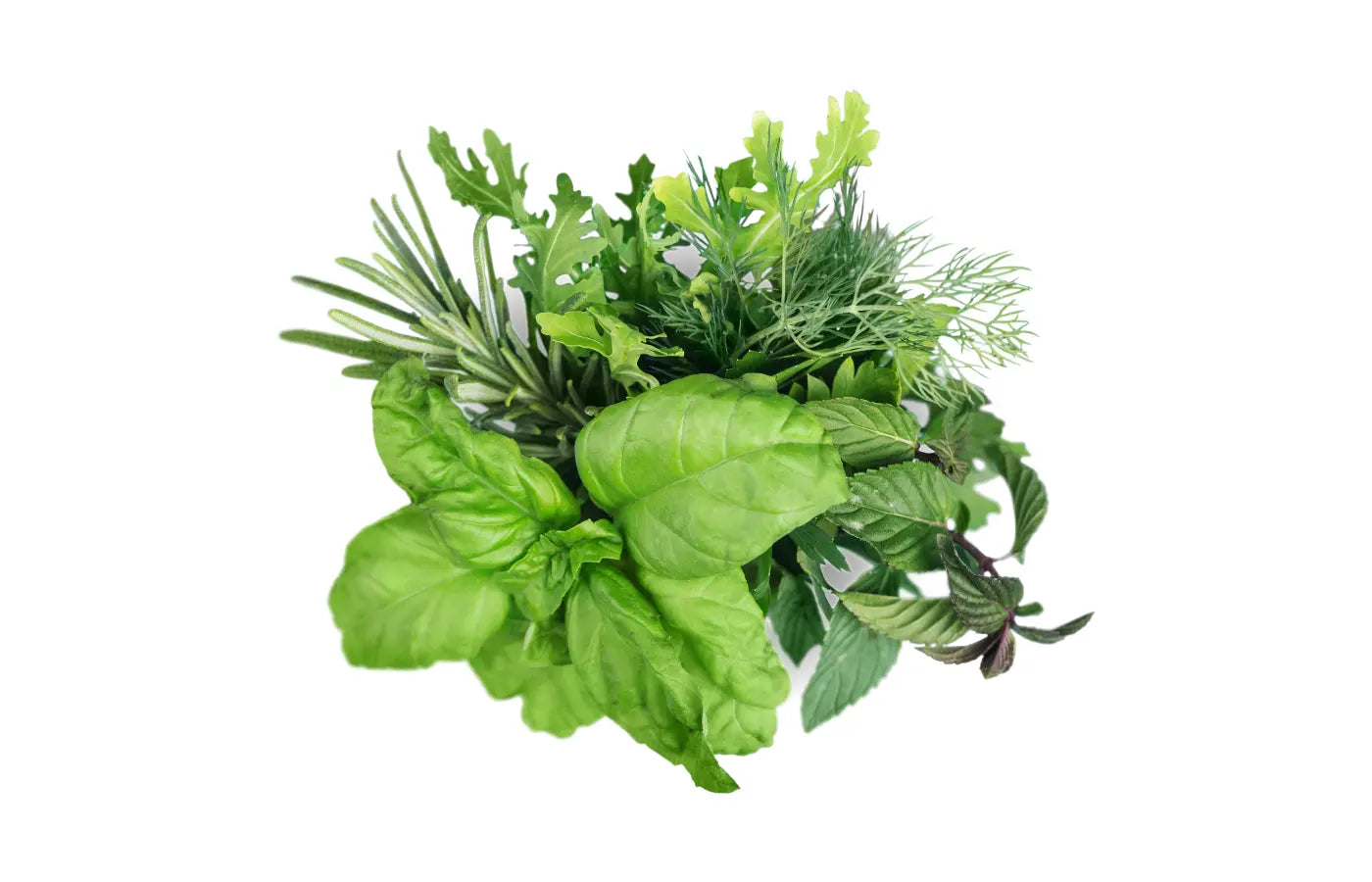 Økologiske urter brukt til å lage probiotika 